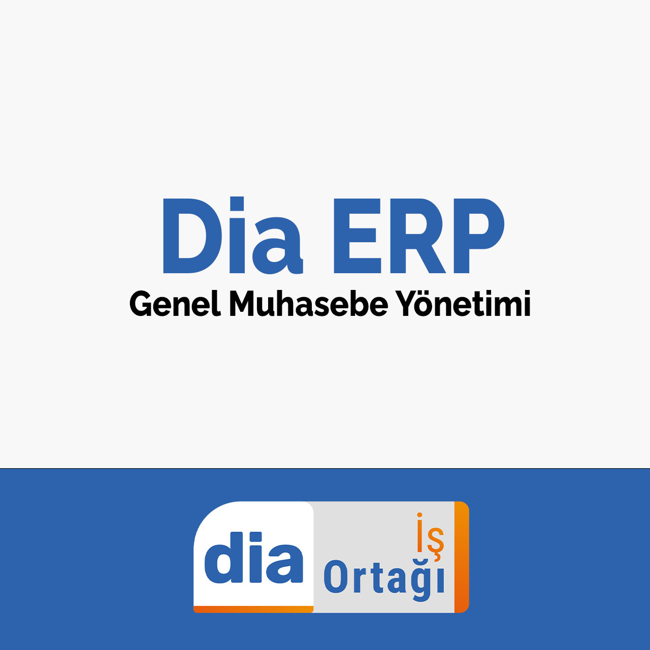 Dia Genel Muhasebe Yönetimi